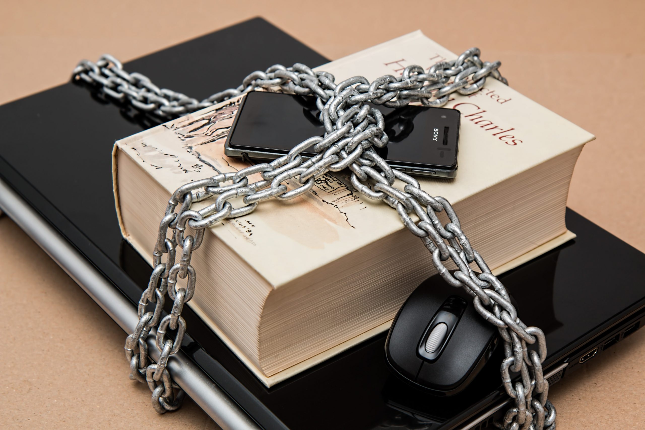 Zaščita e-knjige pred piratstvom (foto: Pixabay / Pexels)