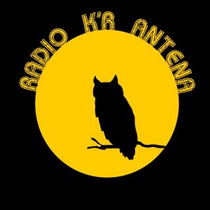 Radio K'r antena - Ornitologija: Čudni tiči